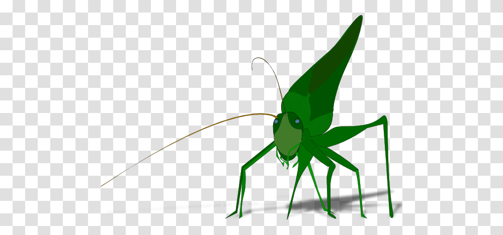 Grasshopper Clip Art Free Vector, Insect, Invertebrate, Animal, Grasshoper Transparent Png