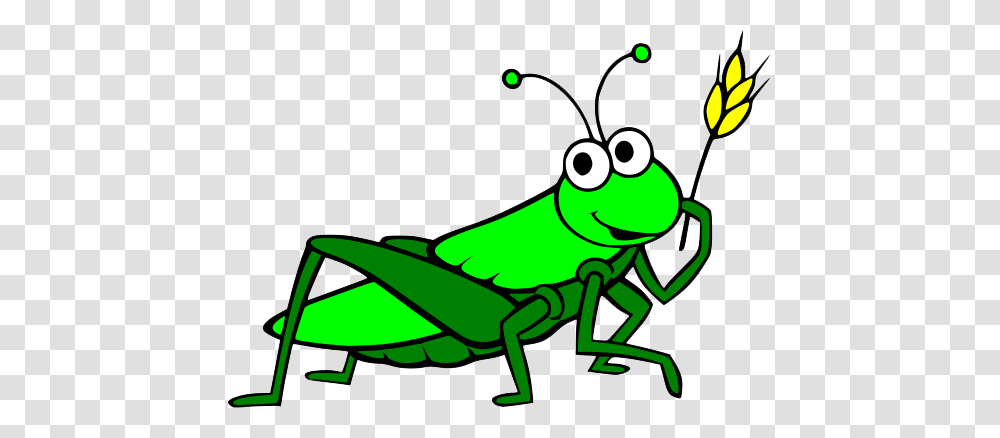 Grasshopper Clipart Clip Art Images, Insect, Invertebrate, Animal, Grasshoper Transparent Png