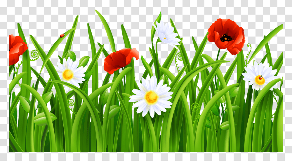 Grasshopper Clipart Free Flower And Green, Plant, Blossom, Petal, Daisy Transparent Png