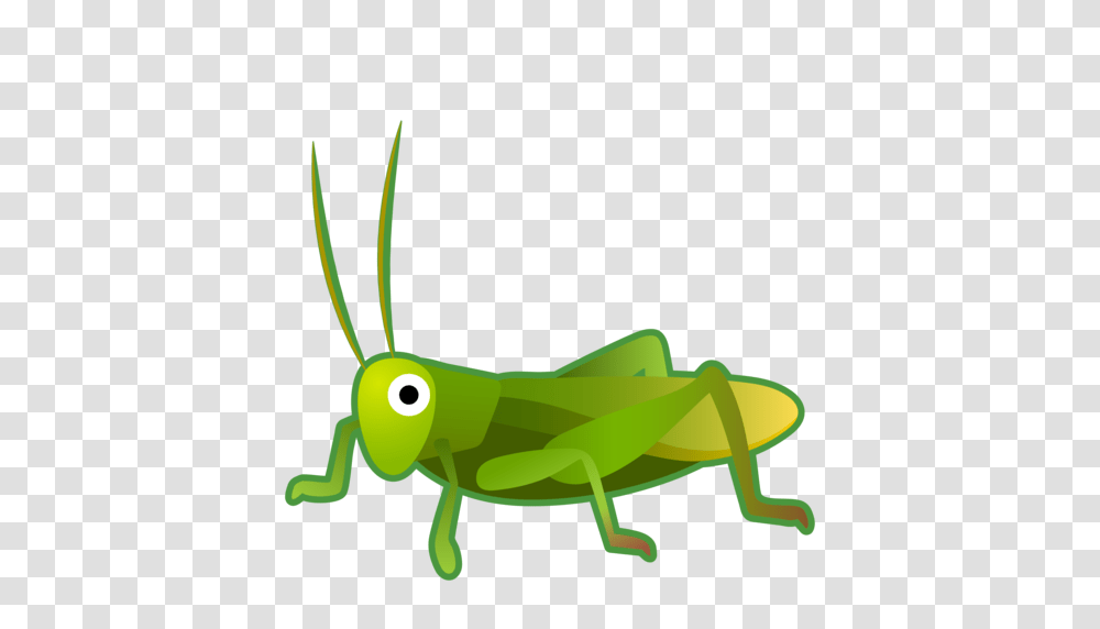 Grasshopper Clipart Grillo, Toy, Insect, Invertebrate, Animal Transparent Png