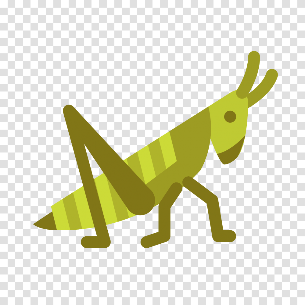 Grasshopper Clipart Head, Insect, Invertebrate, Animal, Grasshoper Transparent Png