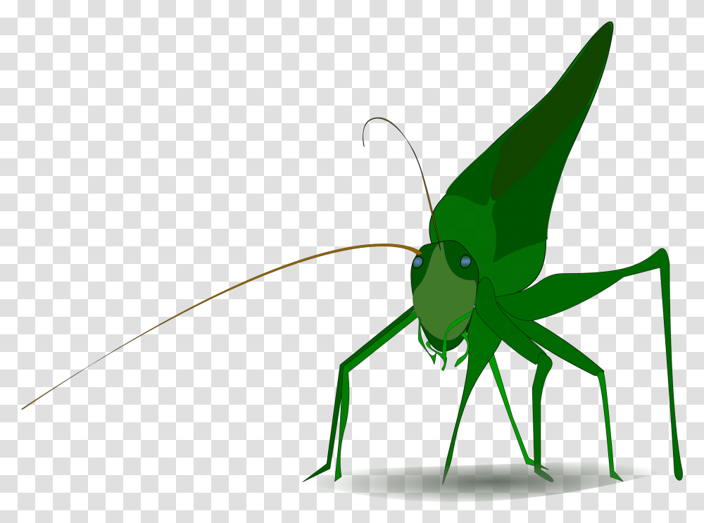 Grasshopper Clipart, Insect, Invertebrate, Animal, Bow Transparent Png