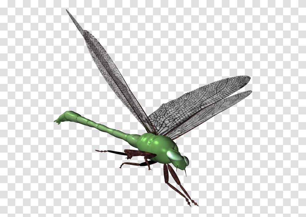Grasshopper Clipart Serangga Net Winged Insects, Invertebrate, Animal, Dragonfly, Anisoptera Transparent Png