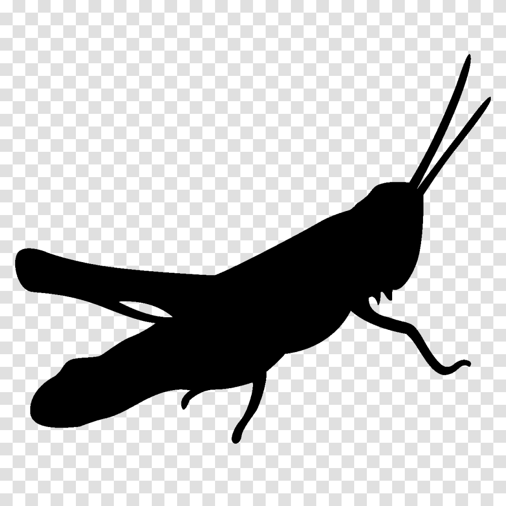 Grasshopper Clipart Silhouette, Animal, Hammer, Tool, Insect Transparent Png