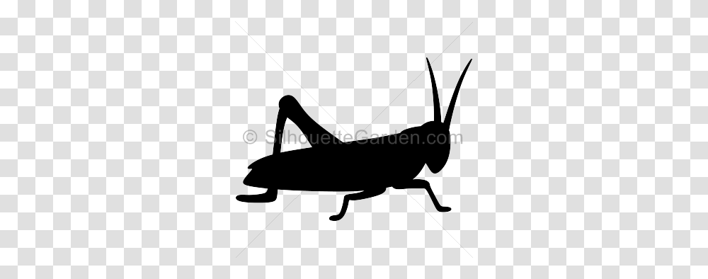 Grasshopper Clipart Silhouette, Bow, Insect, Invertebrate, Animal Transparent Png