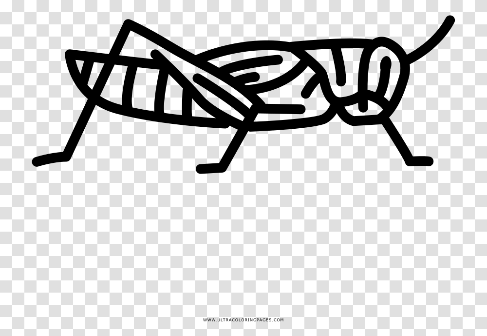 Grasshopper Coloring, Gray, World Of Warcraft Transparent Png