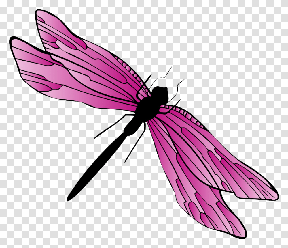 Grasshopper Components Look As In Wireframe Mode, Dragonfly, Insect, Invertebrate, Animal Transparent Png