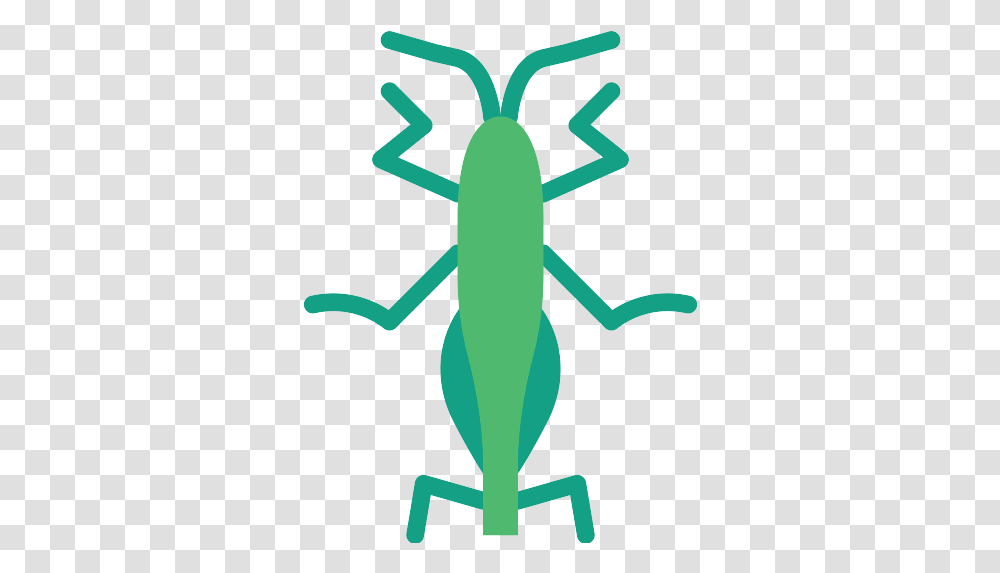 Grasshopper Icon Agriculture, Animal, Invertebrate, Insect, Amphibian Transparent Png