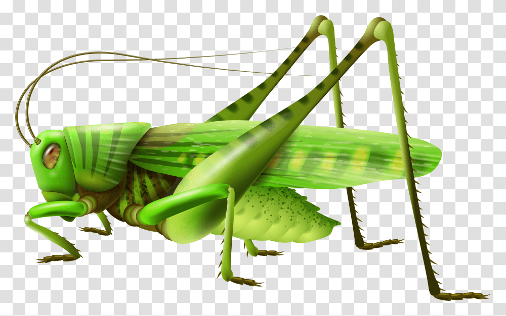 Grasshopper Icon Clipart Grasshopper Transparent Png