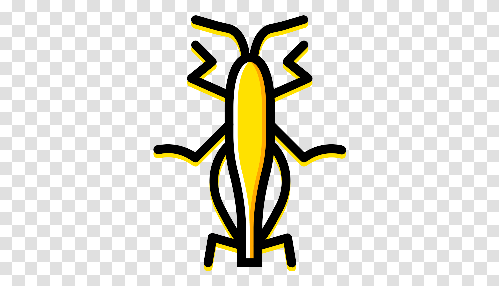 Grasshopper Icon Grasshopper, Animal, Amphibian, Wildlife, Symbol Transparent Png
