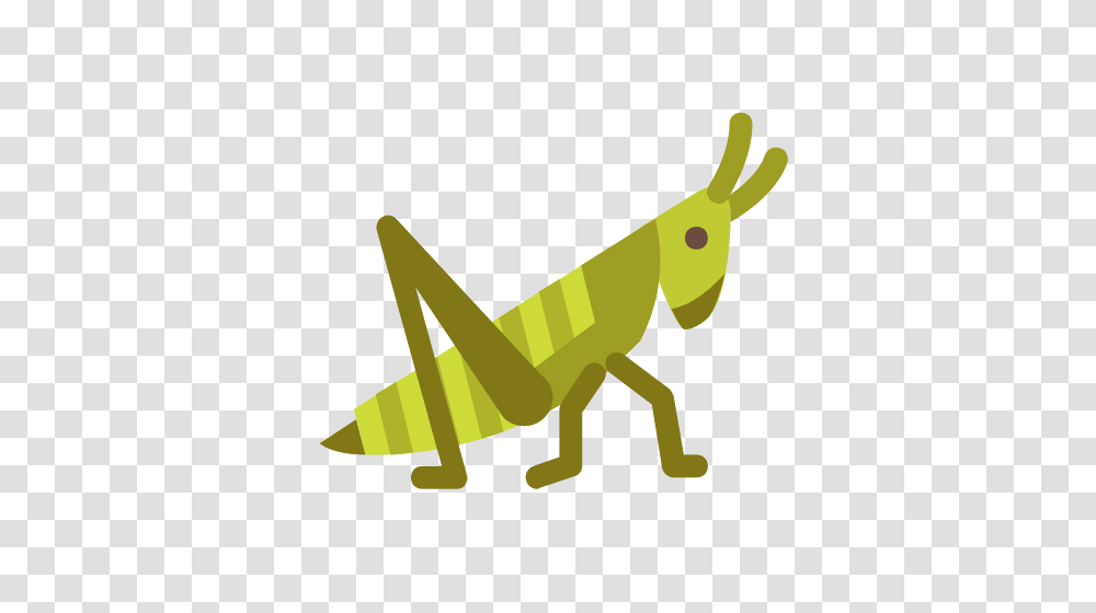 Grasshopper Icons, Insect, Invertebrate, Animal, Grasshoper Transparent Png