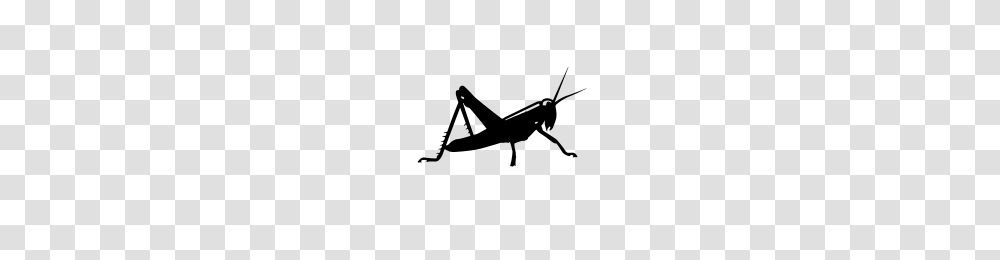 Grasshopper Icons Noun Project, Gray, World Of Warcraft Transparent Png