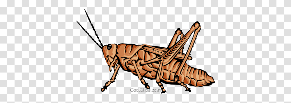 Grasshopper Royalty Free Vector Clip Art Illustration, Dinosaur, Reptile, Animal, Insect Transparent Png