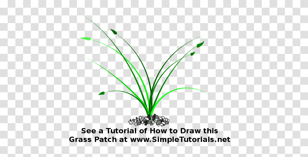 Grasspatchtutorial, Nature, Light, Laser Transparent Png