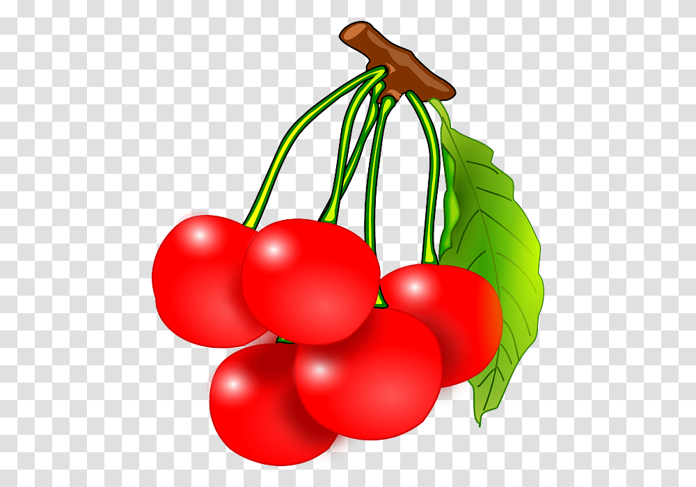 Gratis Bild, Plant, Fruit, Food, Balloon Transparent Png
