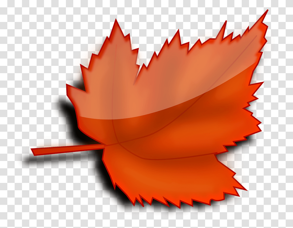 Gratis Billede P Pixabay Ahorn Efter R Red Leaf Clip Art, Plant, Flower, Pattern, Petal Transparent Png