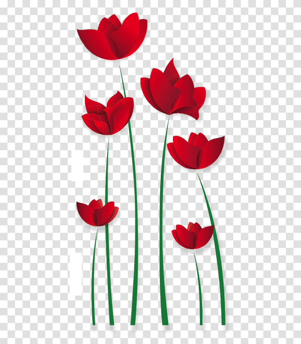Grattis P 50 Rs Dagen, Plant, Flower, Blossom, Tulip Transparent Png