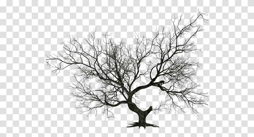 Graveyard Clipart Halloween Tree Dead Tree Hd, Plant, Nature, Outdoors, Night Transparent Png