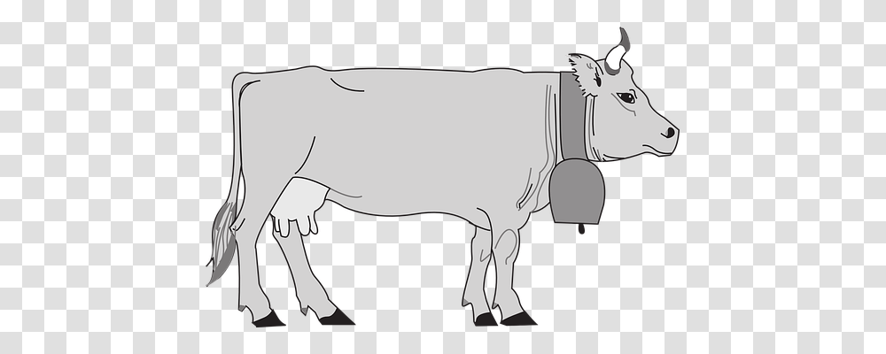 Gray Animals, Bull, Mammal, Cow Transparent Png