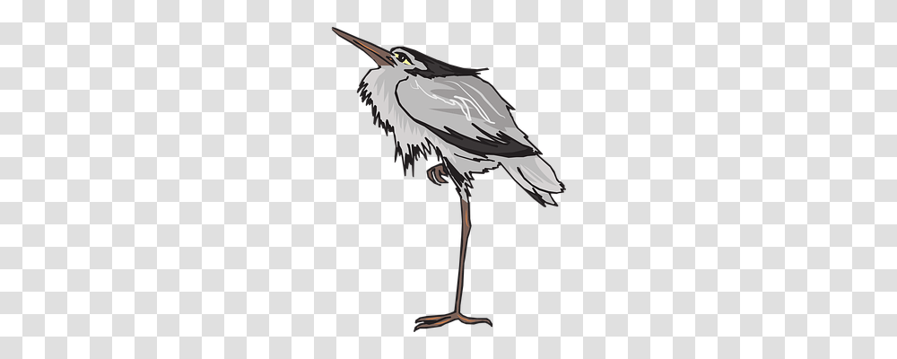 Gray Animals, Bird, Crane Bird, Stork Transparent Png