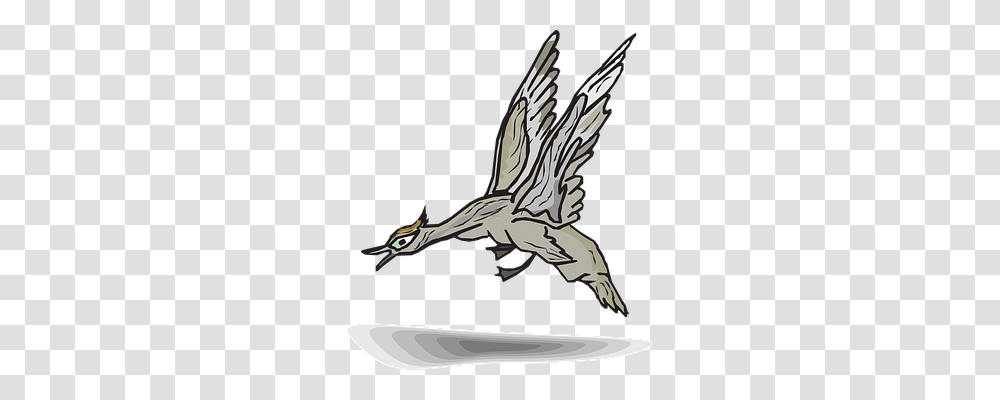 Gray Animals, Bird, Logo Transparent Png