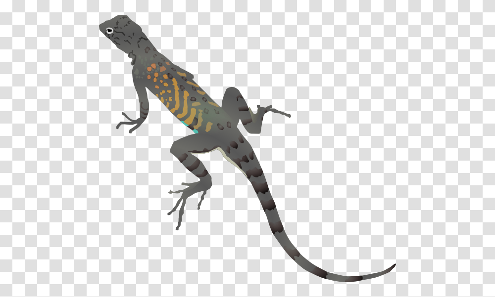 Gray And Orange Striped Lizard Clip Art, Gecko, Reptile, Animal, Anole Transparent Png
