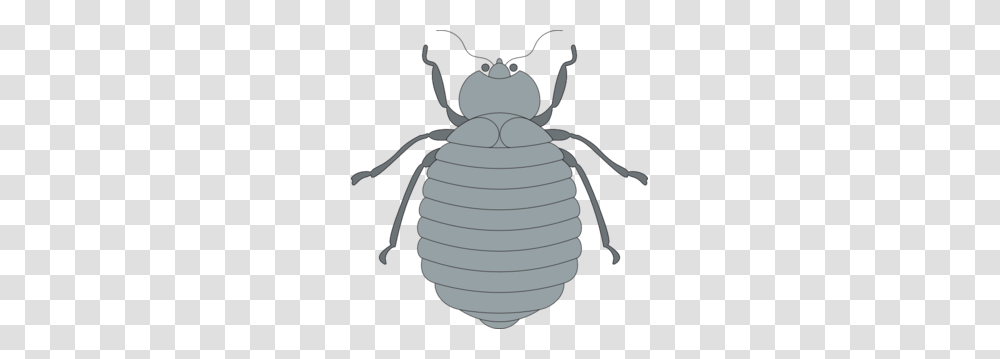 Gray Beetle Clip Art, Animal, Grenade, Bomb, Weapon Transparent Png