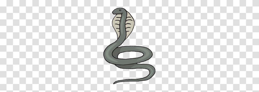 Gray Cobra Clip Arts For Web, Reptile, Animal, Snake, Blade Transparent Png
