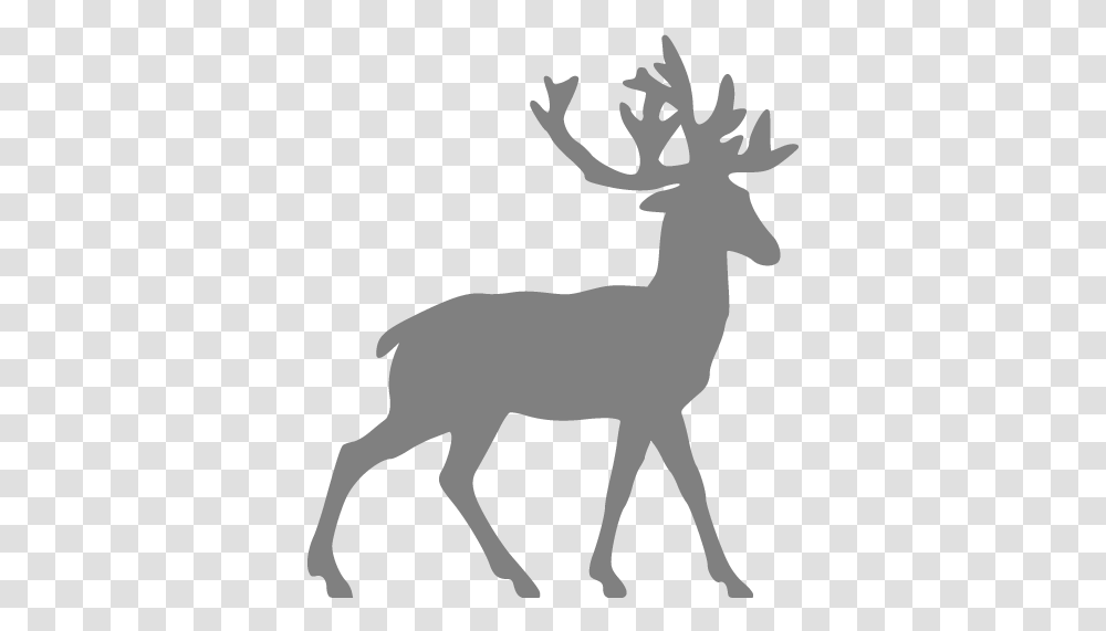 Gray Deer Icon Free Gray Animal Icons Deer Silhouette, Mammal, Wildlife, Impala, Antelope Transparent Png