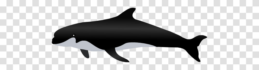 Gray Dolphin Clip Arts For Web, Mammal, Animal, Sea Life, Whale Transparent Png