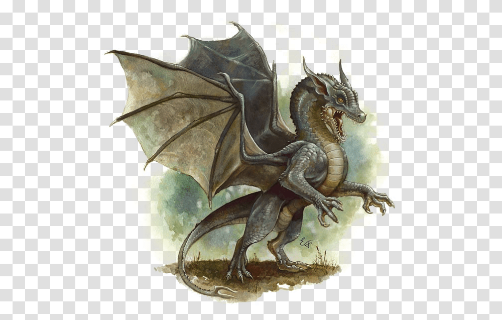 Gray Dragon Dungeons & Dragons Fandom Dnd Baby Black Dragon Art, Dinosaur, Reptile, Animal, Painting Transparent Png