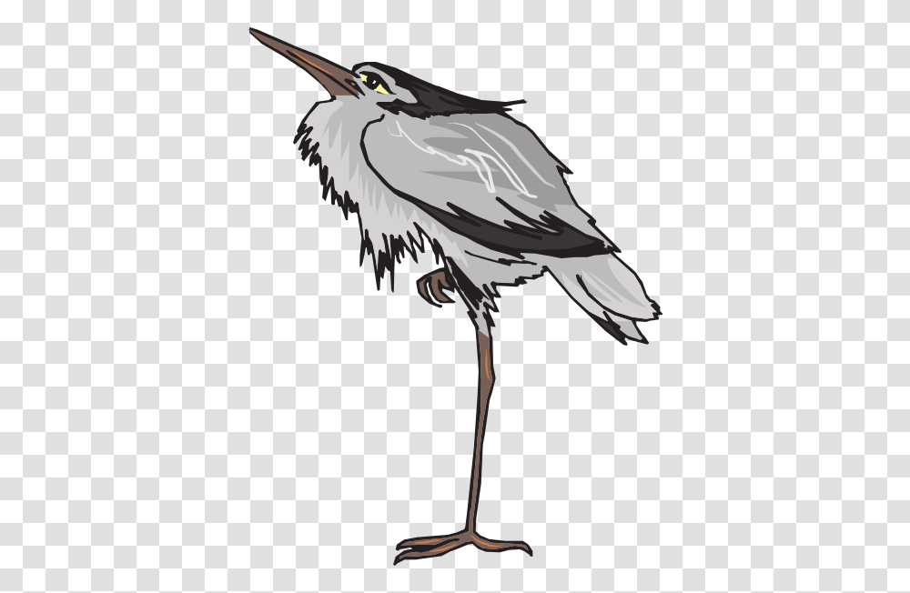 Gray Heron Standing On One Leg Clip Arts For Web, Vulture, Bird, Animal, Beak Transparent Png