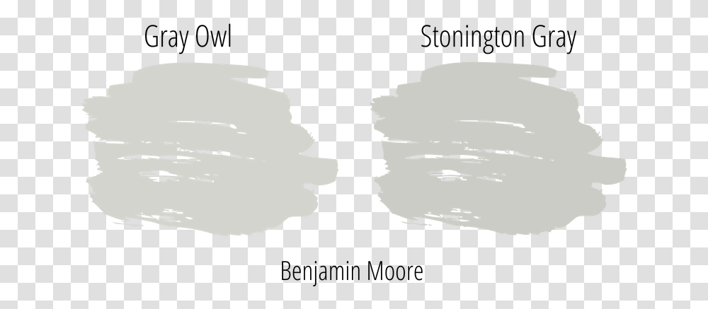 Gray Owl And Stonington Gray From Benjamin Moore Paint Launch Day, Drawing, Plant Transparent Png