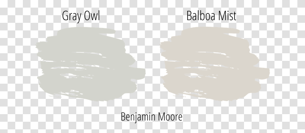 Gray Owl Next To Balboa Mist Both Popular Neutral White Paint Swatch, Plant, Drawing Transparent Png