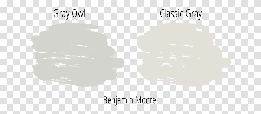 Gray Owl Next To Classic Gray Paint Swatch From Benjamin White Paint Swatch, Face, Plant, Drawing Transparent Png