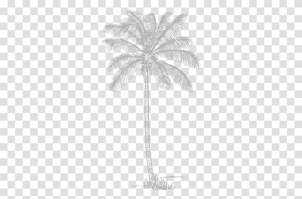 Gray Palm Tree Clip Art Vector Clip Art Palm Tree Drawing, Symbol, Bird, Animal, Emblem Transparent Png