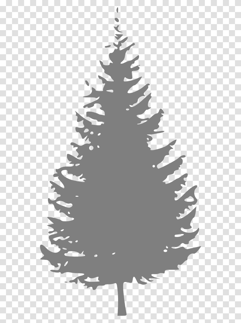 Gray Pine Tree Clip Art Pine Tree Clipart Black And White, Plant, Ornament, Christmas Tree, Fir Transparent Png