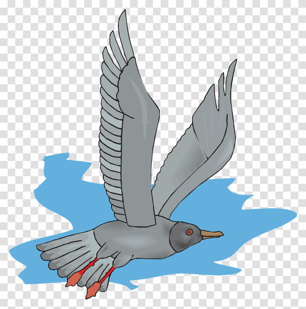 Gray Seagull Icon, Animal, Bird, Flying, Pigeon Transparent Png
