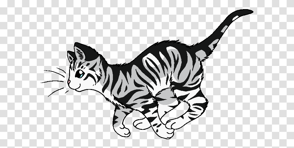Gray Tabby Warrior Cats Download Warrior Cats Background, Tiger, Wildlife, Mammal, Animal Transparent Png