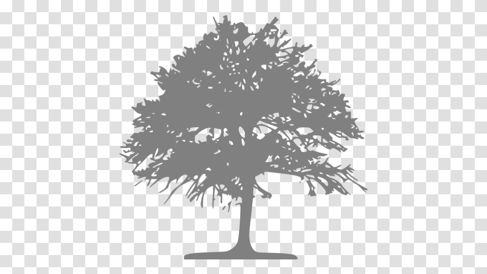 Gray Tree 46 Icon Free Gray Tree Icons Silhouette Grey Tree, Plant, Ornament, Stencil, Pine Transparent Png