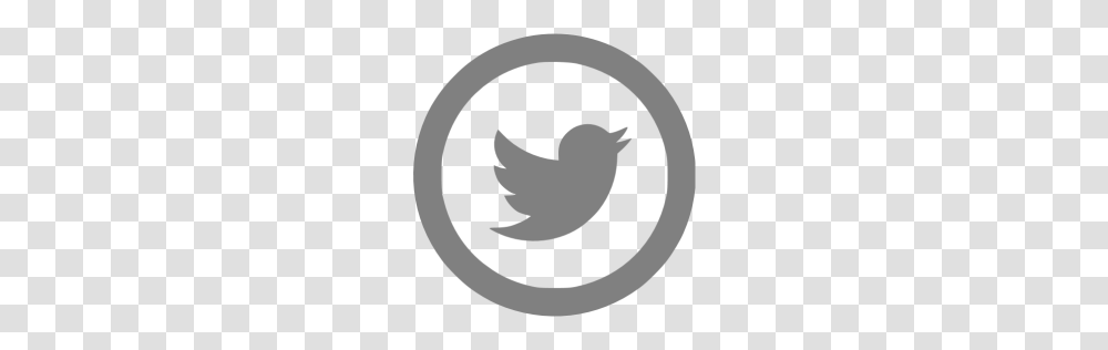 Gray Twitter Icon, Concrete Transparent Png