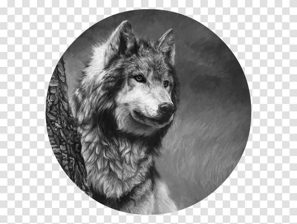 Gray Wolf Black And White Lucie Bilodeau Gray Wolf Black And White, Mammal, Animal, Dog, Pet Transparent Png