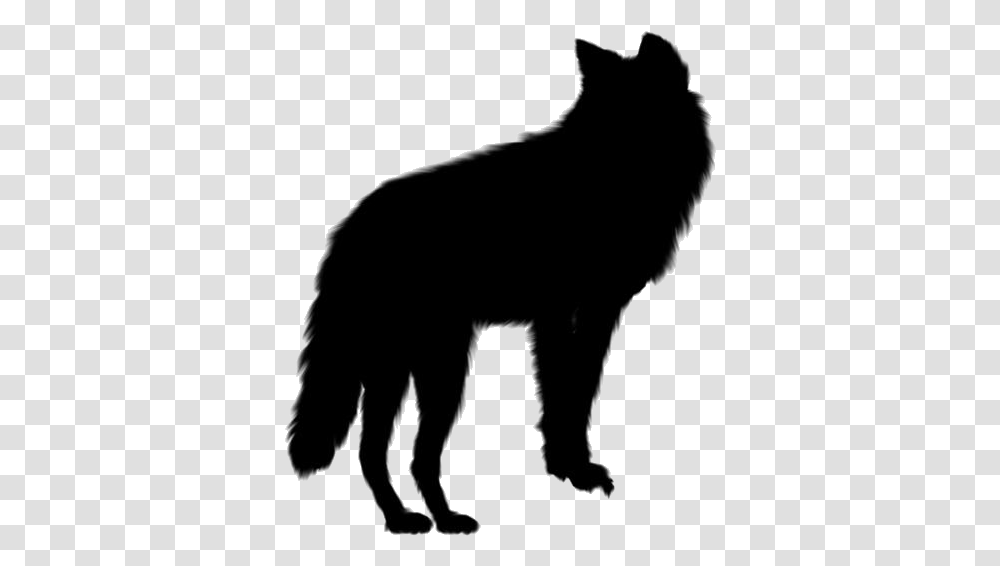 Gray Wolf Gray Wolf Vector, Silhouette, Mammal, Animal, Wildlife Transparent Png