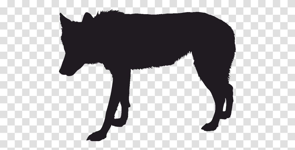 Gray Wolf Silhouette Black Wolf Drawing Black Wolf Silhouette, Mammal, Animal, Wildlife, Hog Transparent Png
