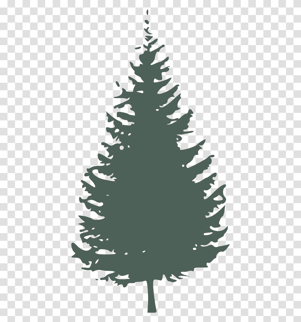 Graygreen Pine Tree Svg Vector Clip Art Pine Tree Silhouette, Plant, Ornament, Fir, Abies Transparent Png