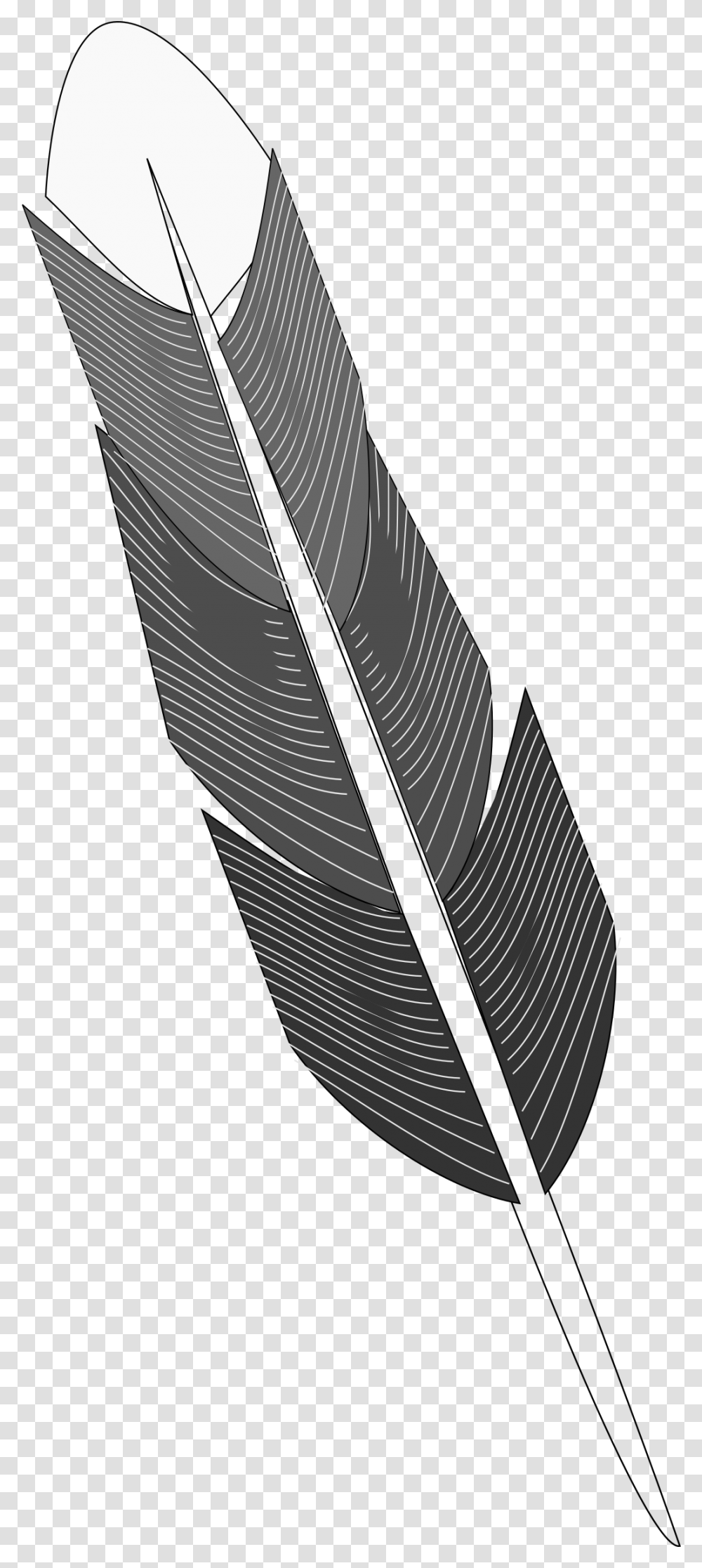 Grayscale Feather Clip Arts Grayscale Feather, Leaf, Plant, Veins, Silhouette Transparent Png