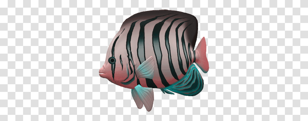 Great Aquarium Fish Gif Images Gif Animation Fish Gif, Angelfish, Sea Life, Animal, Surgeonfish Transparent Png