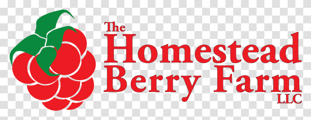 Great Berries Graphic Design, Alphabet, Word, Face Transparent Png