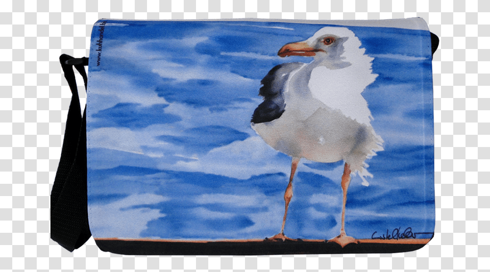 Great Black Backed Gull, Bird, Animal, Beak, Waterfowl Transparent Png
