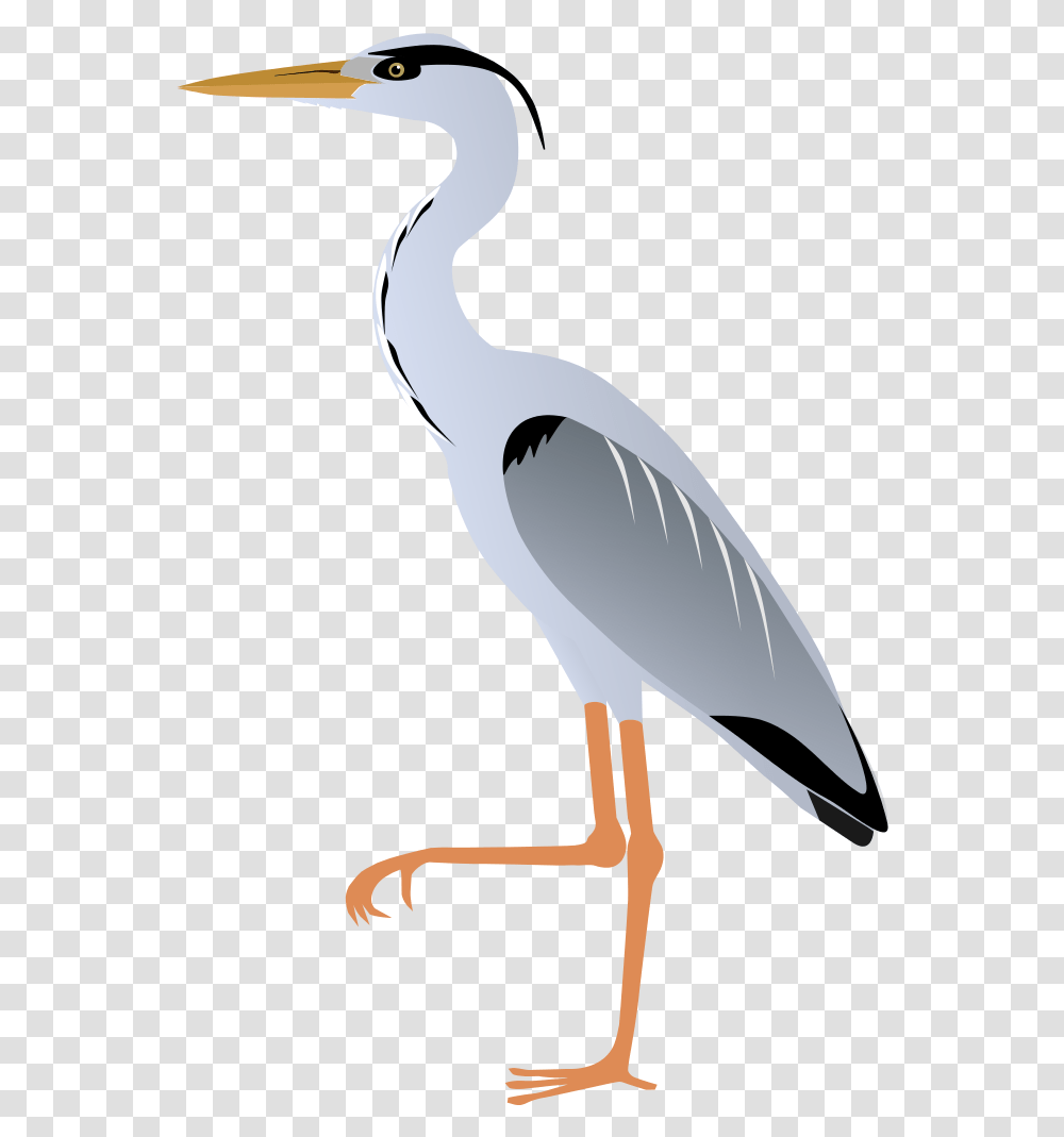 Great Blue Heron Clipart, Waterfowl, Bird, Animal, Ardeidae Transparent Png